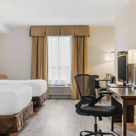 Comfort Hotel Bayer'S Lake Timberlea Exterior photo