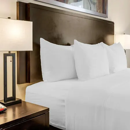 Comfort Hotel Bayer'S Lake Timberlea Exterior photo